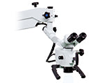 Surgical Microscopes